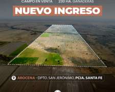 Arocena 230 Has Ganaderas. Instalaciones. Campo en Venta