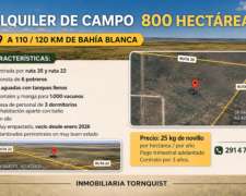 Alquilo 800 Has Ganaderas a 25kg al SUR de Puan