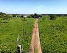 Vendo Campo 20 Has en Ruta 39 Concepción del Uruguay Entre R