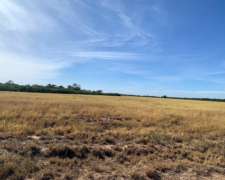 Vendo Estancia a Tranquera Cerrada
