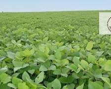 16 Ha Hernández Entre Ríos Campo Agrícola