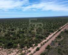 Campo Ganadero- 3.000 Ha en Chuña, Córdoba