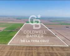 Luis Palacios-ubicacion Estrategica-cercana a Puertos