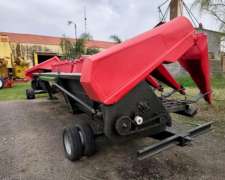 Maicero de Grande de 13 S. año 2010.