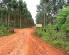 Gdor. Virasoro - 2701 Ha - Corrientes