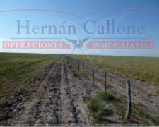 Campo Ganadero 5560 Ha en SUR de Santiago del Estero