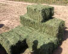 Fardos De Alfalfa Calidad Premium - Campos Del Oeste Alfalfa