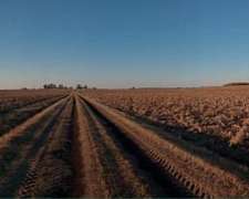 290 Ha 100 % Agrícolas. Campo de Excelencia