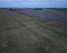 40 HA. Suelo Clase 1 Sobre Ruta. San Genaro (santa FE)