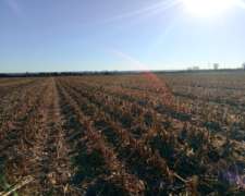 Santa Rosa del Conlara 30 Has Agricolas