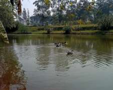 Se Vende Quinta 1.25ha Con Lagunas En San Isidro - Posadas,