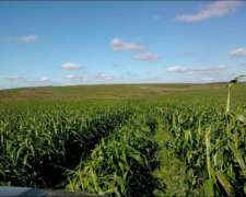 1000 Has de Campo Mixto en Ancasti Catamarca