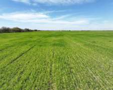 Pcia. De Santa Fe - Villa Minetti 927 Ha