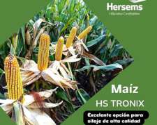 Maíz Hersems Hs Tronix Btrr