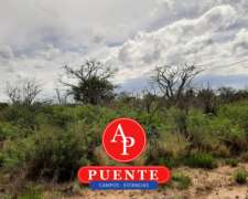 En Venta 2200 HA. Carro Quemado, la Pampa