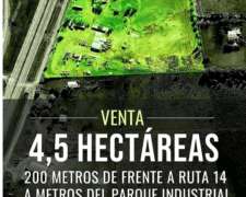 4.5 Hectáreas, 200 Metros Frente a Autopista, Gualeguaychú.