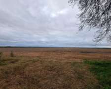 Campo Mixto 122 Ha (amplias Mejoras)
