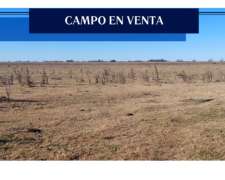 Campo 75 Hectárea Rafael Obligado