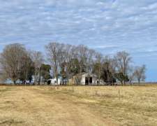 Campo en Venta Mixto 1450 Has. Pila