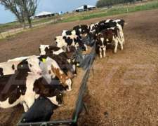 Comederos de Geomembrana para Terneros sin IVA