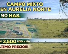 Campo 90 Has Mixtas Aurelia Norte