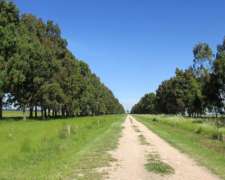 1.144 Has - en Venta - Adolfo Gonzales Chaves - Buenos Aires