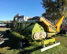 Maicero Allioschis 18 a 42