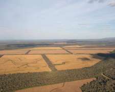 Pcia. de Jujuy - Viñalito 19850 Has