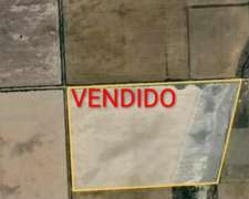 Se Venden 44 Ha en Zona de Colonia Maua