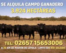 Campo en Alquiler en la Provincia de San Luis Exclusivamente