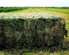 Megafardos de Alfalfa - Lasna Insumos