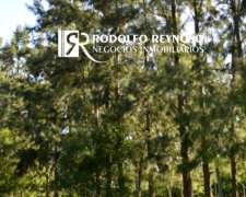 Nuevo Precio: 18 HA. Aptitud: Viñedo - Nuez