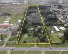 Chacra En Venta 8,5 Has Brandsen Sobre Ruta 2 - Ideal Proyec