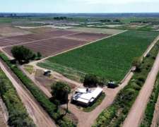 Finca de 28ha para Chacra Rodeo del Medio, Maipú