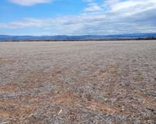 Campo en Bajo Chico