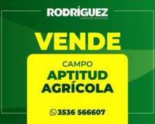 Venta 440 Has Agricolas