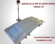Báscula de Plataforma 3 Toneladas