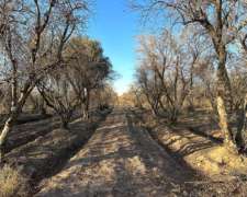 Finca en Venta 200 Hectáreas, Fray Luis Beltrán, Maipú