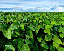 3000 Has Excepcionales con Riego en la Provincia de Córdoba.