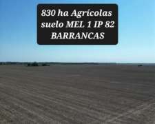 Barrancas Santa FE Agrícolas