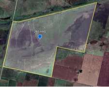 Campo en Venta Colonia Belgrano 287 Has Ganaderas