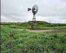 Campo Venta Magdalena 800 Ha Ganadero