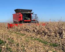 Cosechadora Massey Ferguson MF 9895 con Drapper de 40