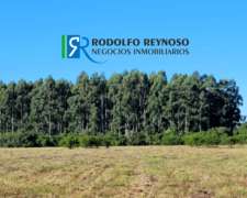10 HA, en San José (er)