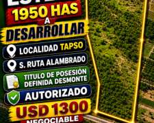 1950 Has de Monte Mixto
