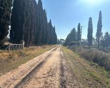 Campo de 2,5 Has en San Pedro Buenos Aires