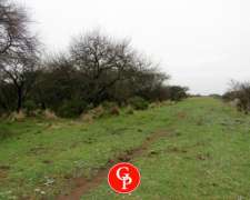 En Venta, 750 Has. Bernasconi, La Pampa.-