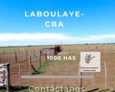 Se Vende Campo Mixto - Zona de Laboulaye