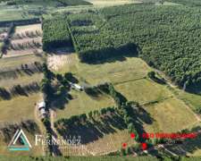 27 Has, con Mejoras y Forestación