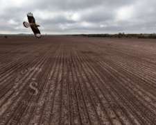 Venta Campo Agrícola. 150 HA. Moises Ville, Santa FE.